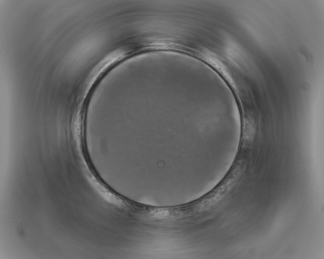 X0000112911098200909211026