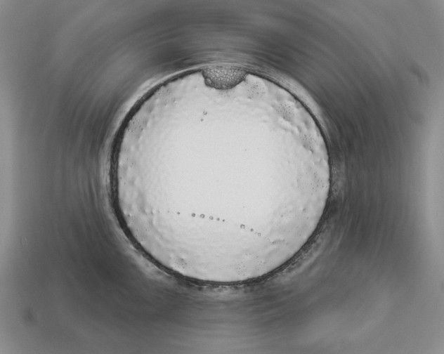 X0000112911099200909211026