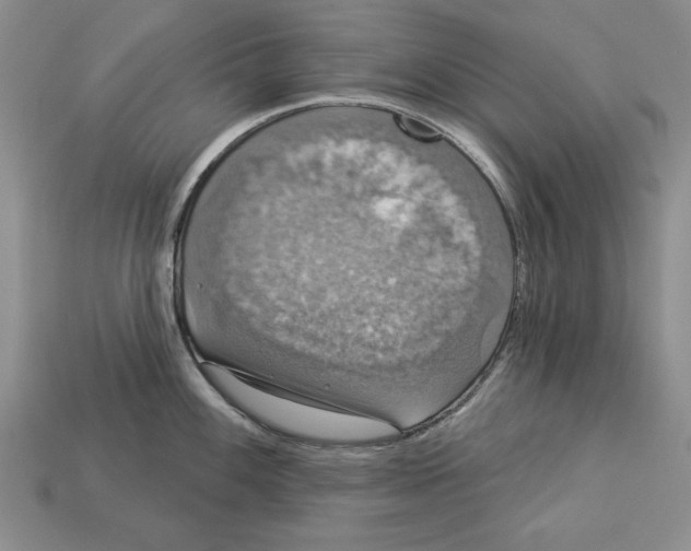 X0000112911100200909211026