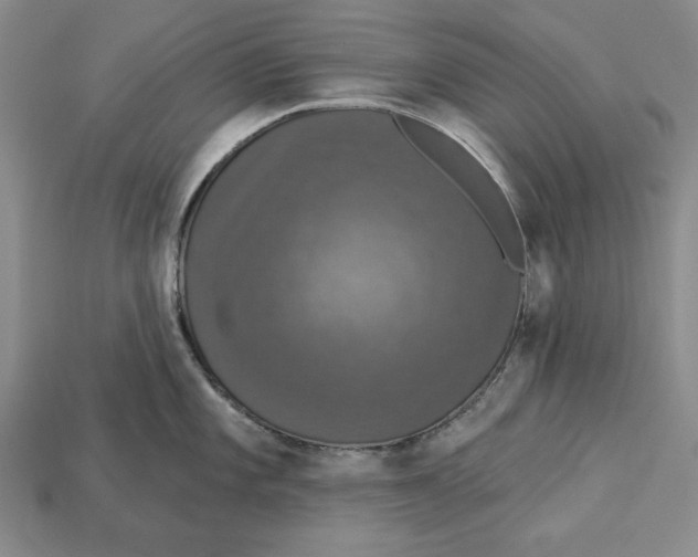 X0000112911101200909211026