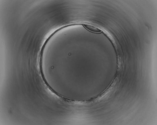 X0000112911102200909211026