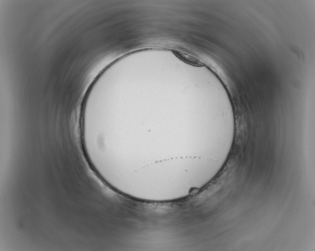 X0000112911103200909211026