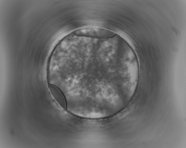 X0000112911104200909211026