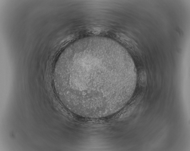 X0000112911105200909211025