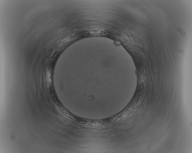 X0000112911106200909211025