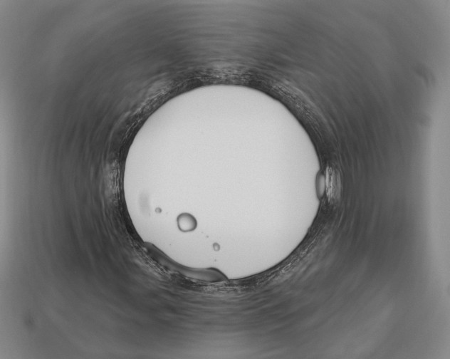 X0000112911107200909211025