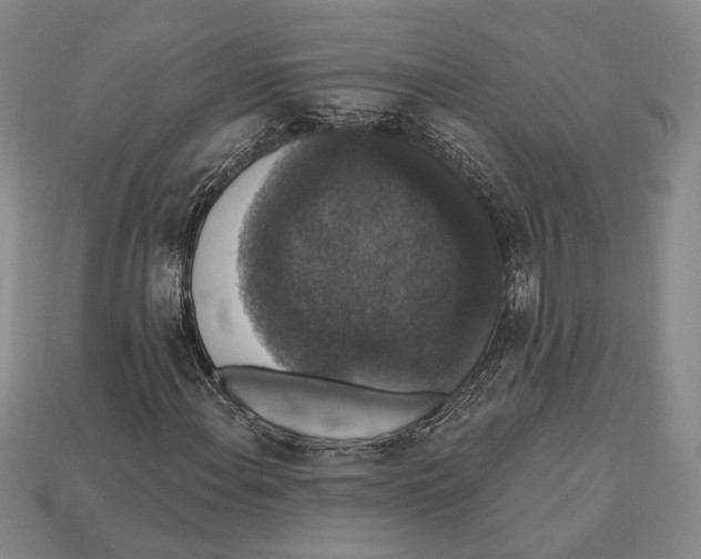 X0000112911108200909211025