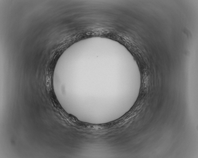 X0000112911109200909211025