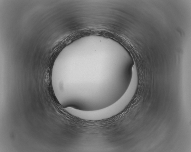 X0000112911110200909211025