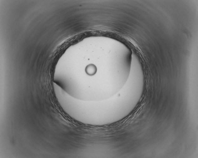 X0000112911112200909211025