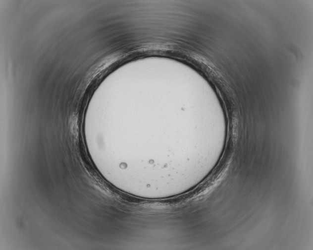 X0000112911113200909211025