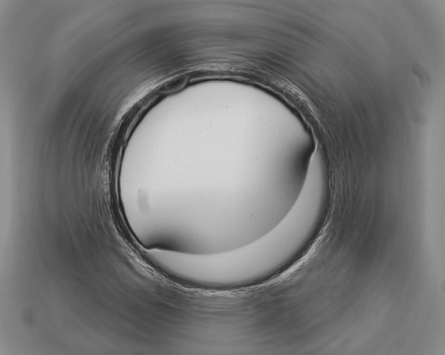 X0000112911114200909211025