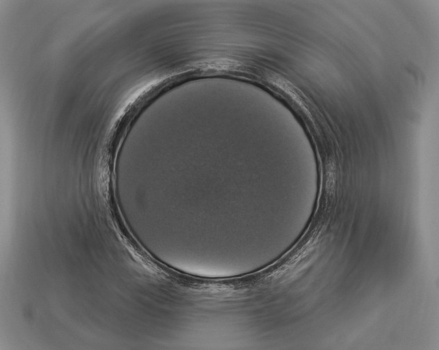 X0000112911115200909211025