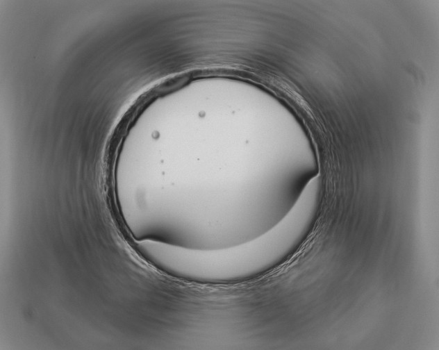 X0000112911116200909211025