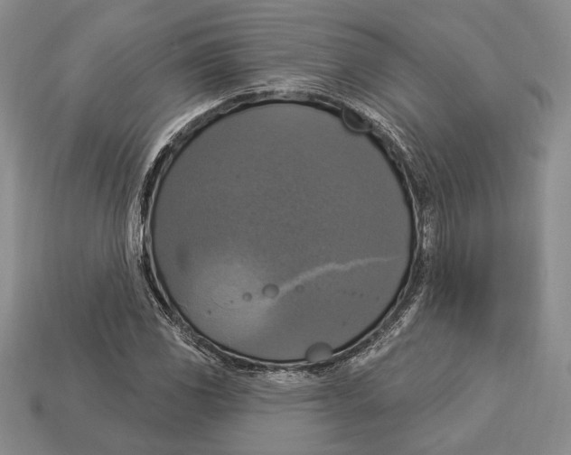 X0000112911117200909211025