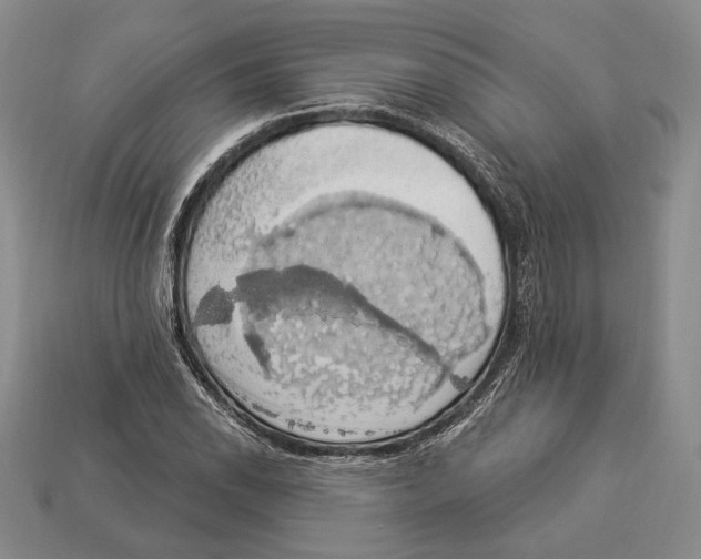 X0000112911118200909211025