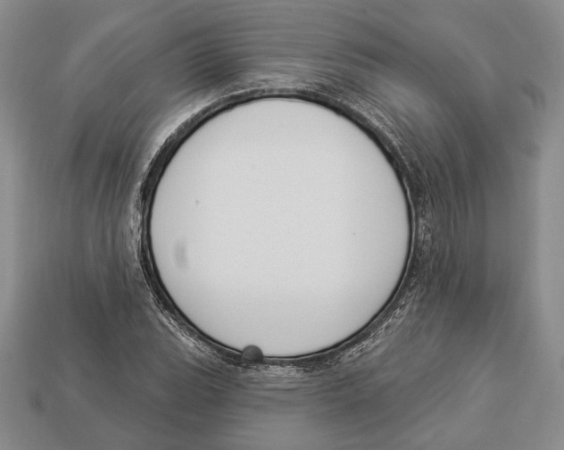 X0000112911119200909211025