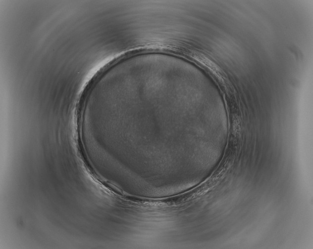 X0000112911120200909211025