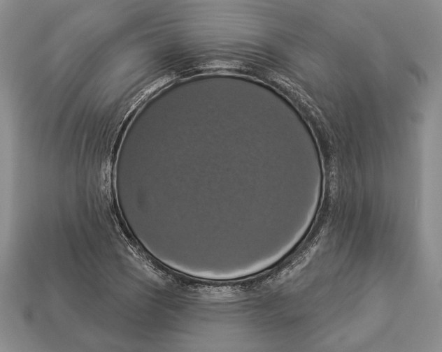 X0000112911121200909211025