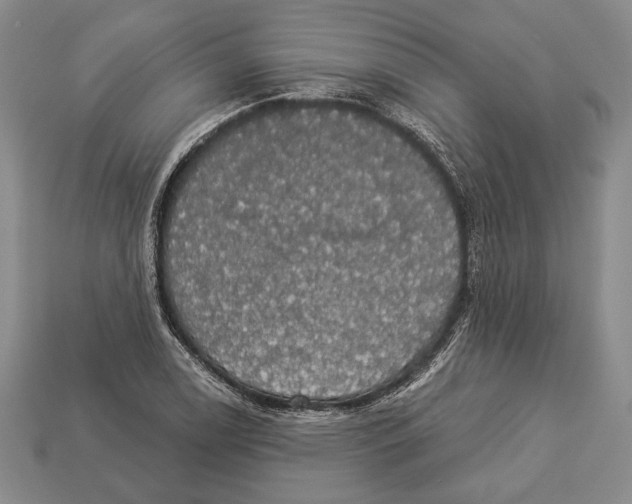 X0000112911122200909211025