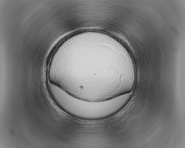 X0000112911124200909211025