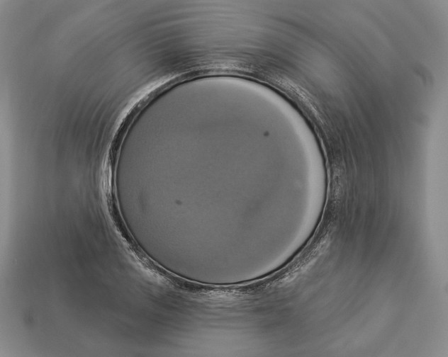 X0000112911125200909211025