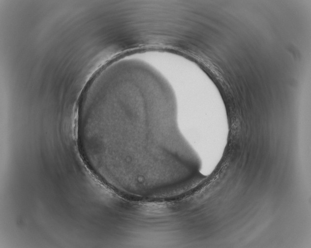 X0000112911126200909211025