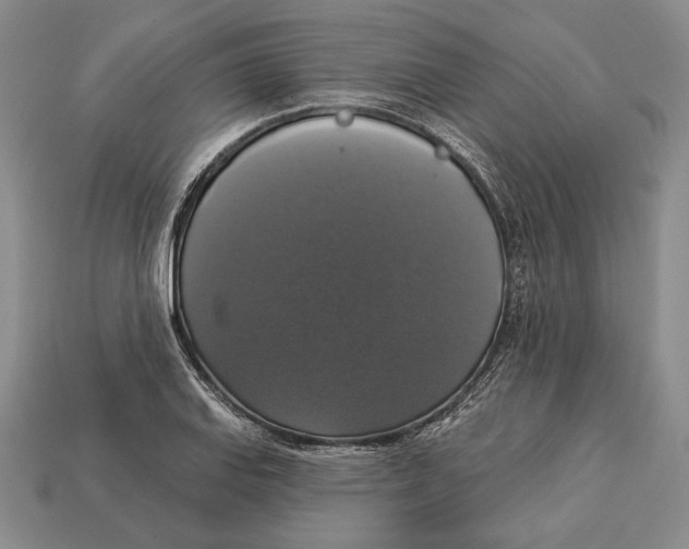 X0000112911127200909211025