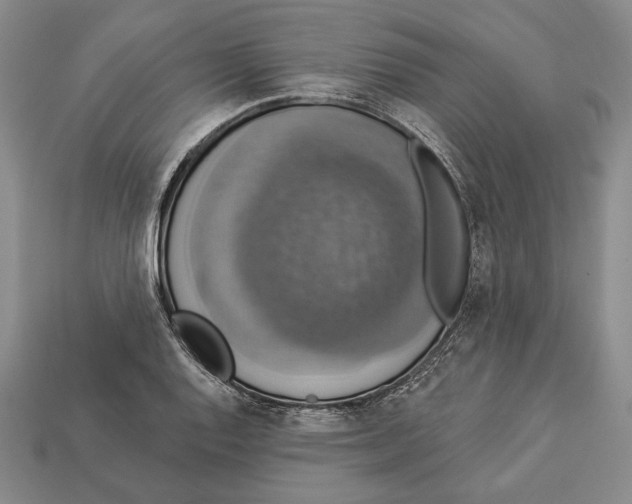 X0000112911128200909211025