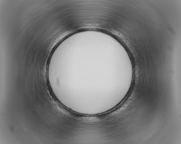 X0000112911129200909211025