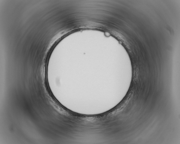 X0000112911130200909211025