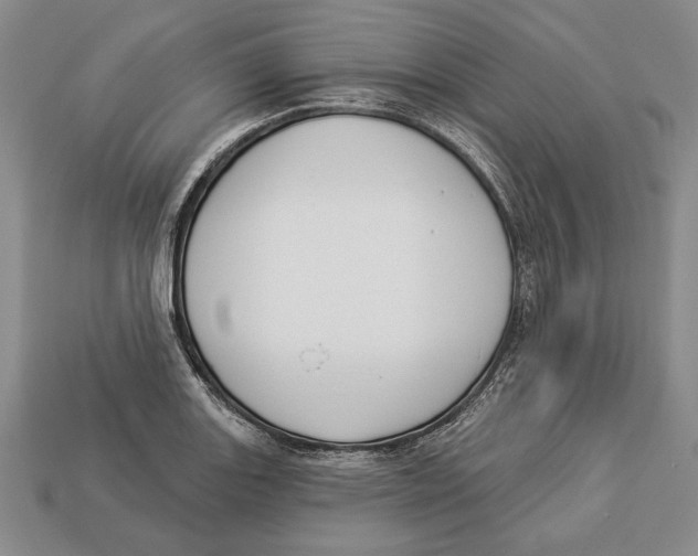 X0000112911131200909211025