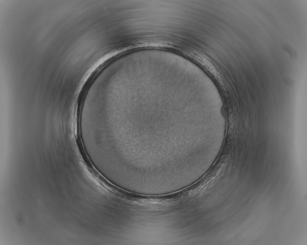 X0000112911132200909211025