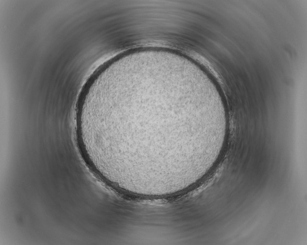 X0000112911133200909211025