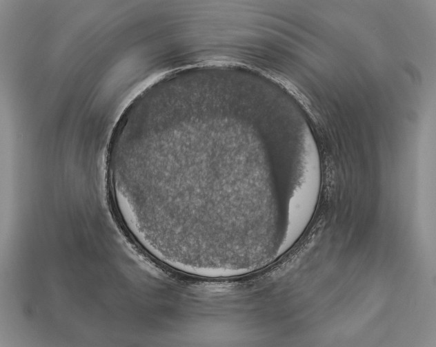 X0000112911134200909211025