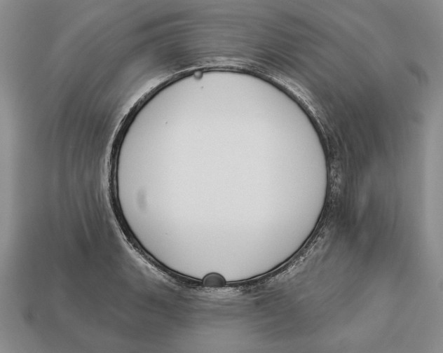 X0000112911135200909211025