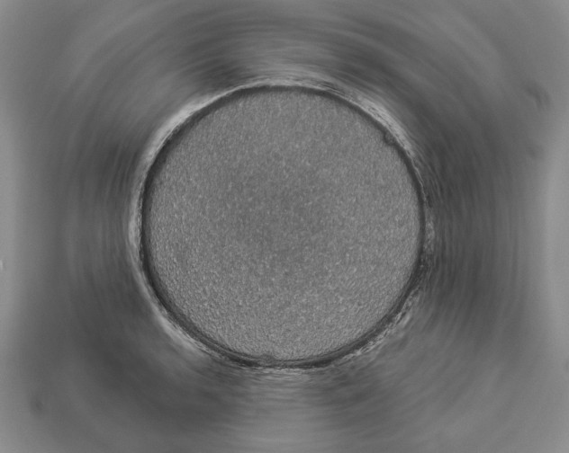 X0000112911136200909211026