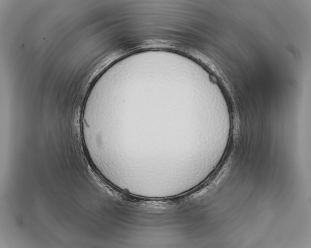 X0000112911137200909211026