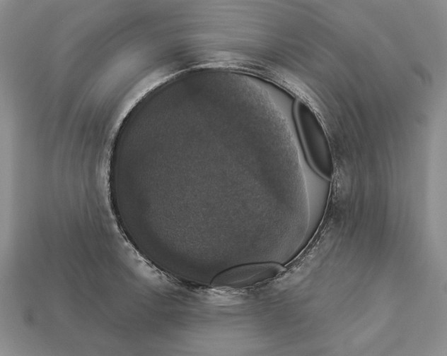 X0000112911138200909211026