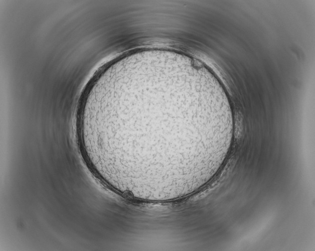 X0000112911139200909211026