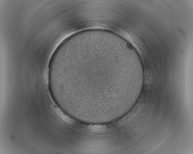 X0000112911140200909211026