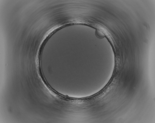 X0000112911141200909211026