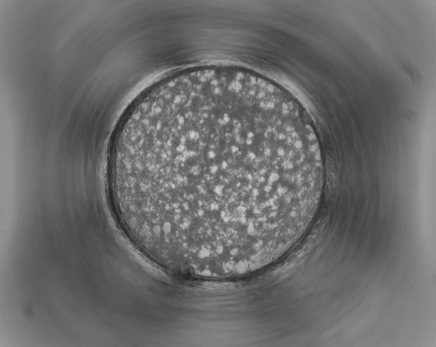 X0000112911142200909211026