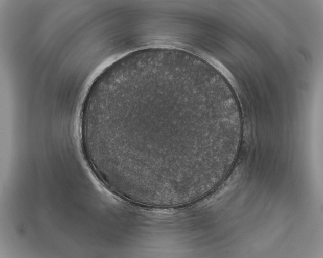 X0000112911144200909211026