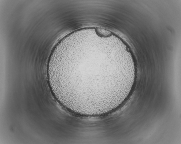 X0000112911145200909211026