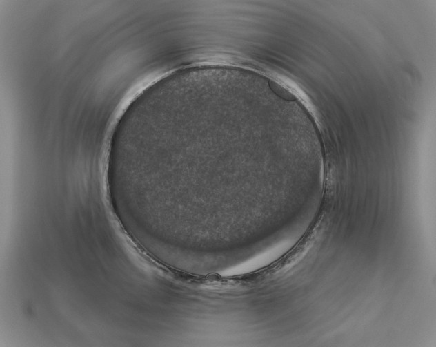 X0000112911146200909211026