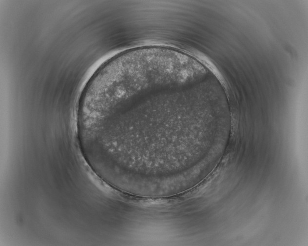 X0000112911148200909211026