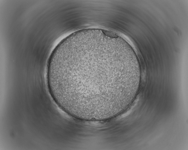 X0000112911149200909211026