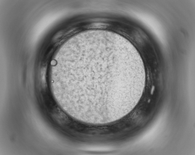 X0000112911150200909211026