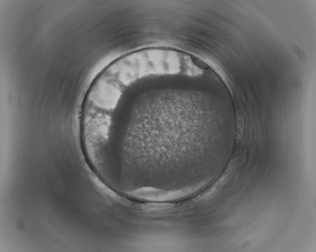 X0000112911151200909211026